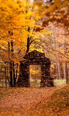 Autumn Wallpapers For Android by Autumn Wallpapers Android App Free Apk By Peaksel Autumn Wallpapers For Android
