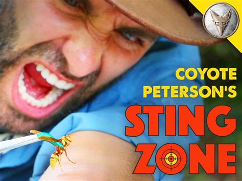 Sting Zone