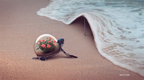 Image result for Photoshop Tutorial Videos