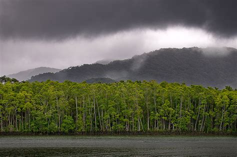 Australia 的图像结果