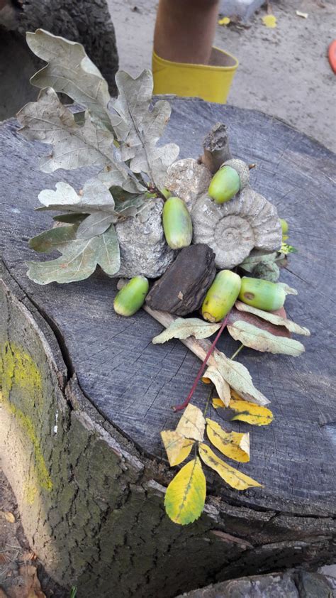 Image result for Nature Art Tutorial