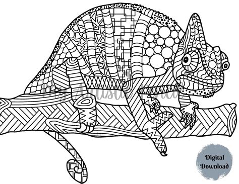 Coloring Pages Chameleons [2025]