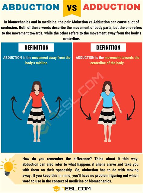 Abduction vs. Adduction: What Is The Difference • 7ESL