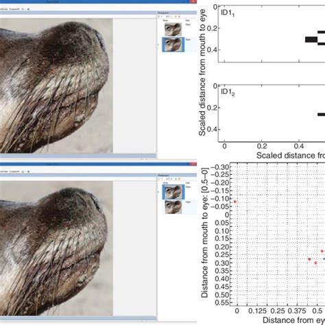 Image result for Individual Match On Two Variables