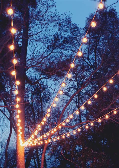 Image result for Canopy String Lights