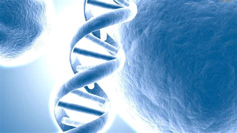 Image result for Genetics Background Images