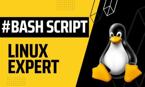 Image result for Bash Shell Scripts