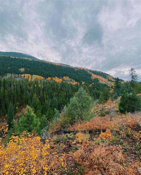 sierra bellingar | Utah, you are beautiful. | Instagram