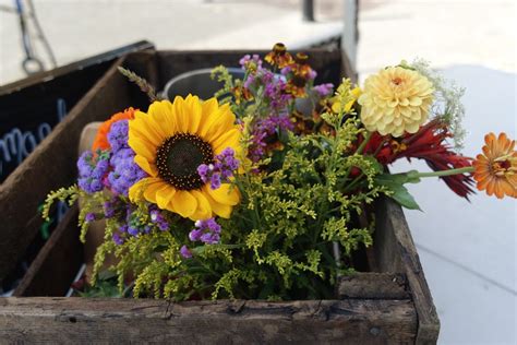 Image result for DxO One Camera Samples