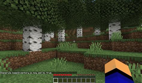 Aternos Keep Inventory Tutorial 的图像结果