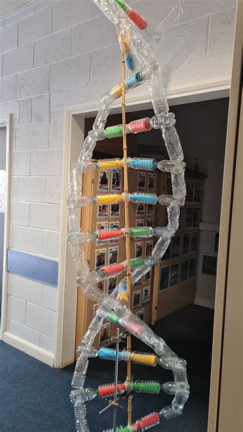 Making DNA Models 的图像结果