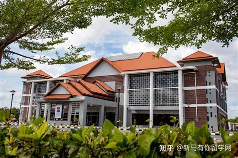 马来西亚留学 | 2021年中国顶尖院校985毕业生去向统计：近2万人选择留学深造！ - 知乎