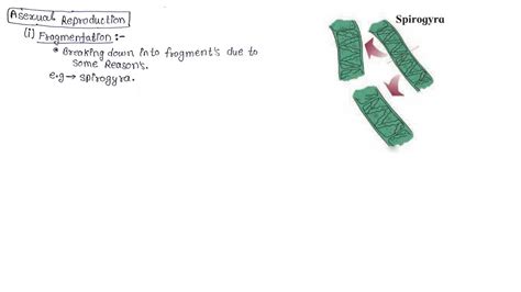 Bio Class 12 Up Board Chapter 1 的图像结果