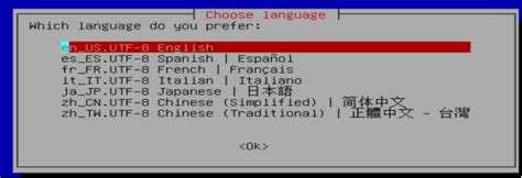 P2V Conversion 的图像结果