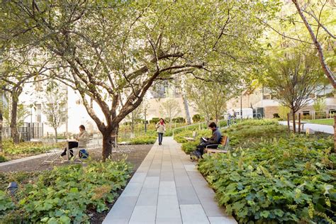 Image result for Scape Studio Landscape Design