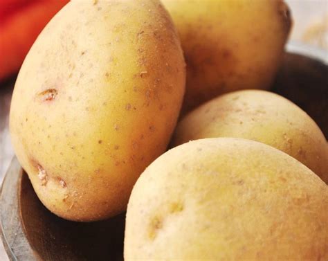 Image result for The Good Taste Fish Chowder