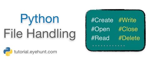 Python File Handling 的图像结果