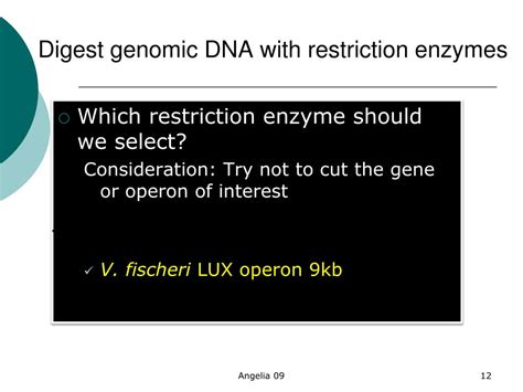 Image result for cDNA Library Applications