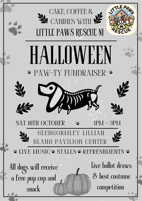 Cake, Coffee & Canines , Lilian Bland Glengormley Park, Holywood, 18 ...