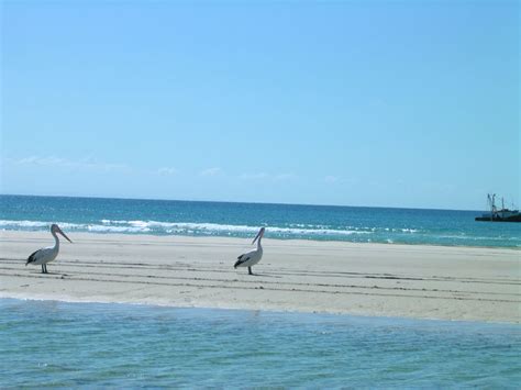 Moreton Island, brisbane city, Australia - Top Attractions, Things to ...