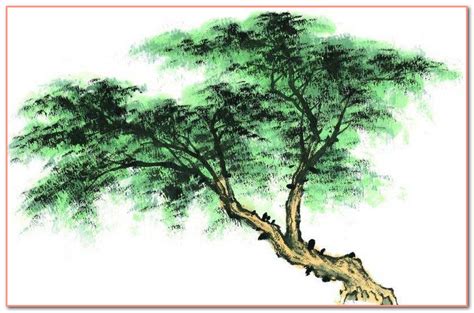 松树有什么象征与含义??_百度知道