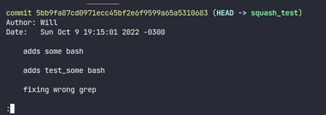 Image result for Squash Commits Git Extensions
