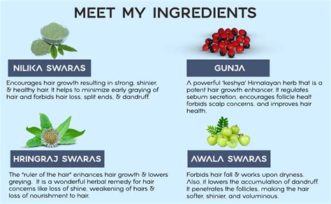 Buy VILASA Neelbhringadi Hair Oil with Bhringraj Swaras, and Amla ...