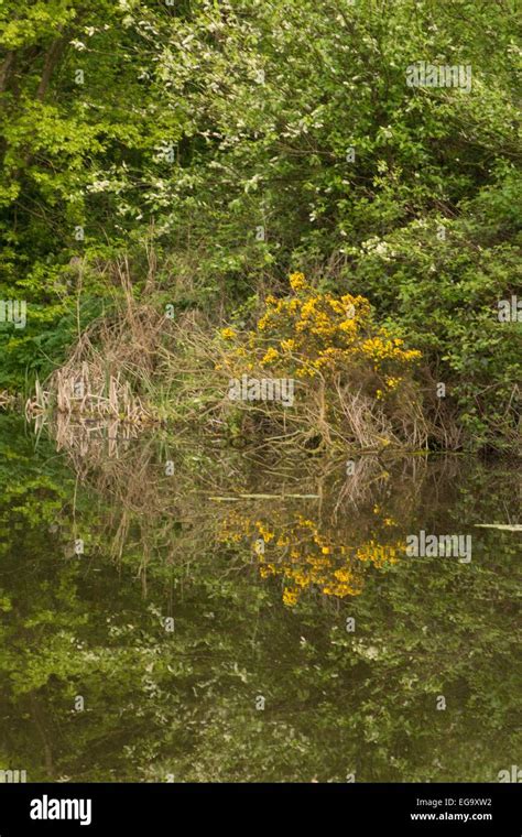 Image result for Spring Work Reflections