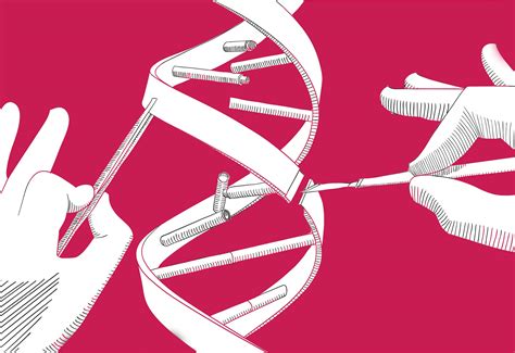 Image result for Bionic Hacking