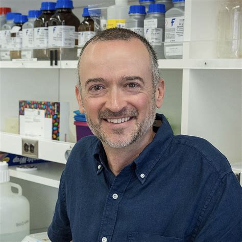 Image result for Wikipedia Commons 69