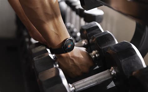 Image result for Exercices Musculation Bras