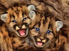 Image result for Cute Animals Theme