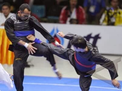 Image result for Silat Boxing