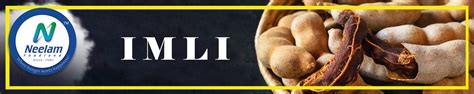 Amazon.in: Neelam Foodland: Imli