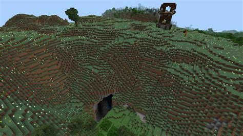 Image result for Ravine Seeds Java