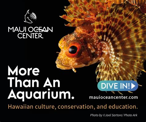 Monkeypod Mai Tai Recipe | Tropical Cocktail Recipes