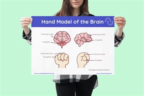 Image result for Handy Brain Model