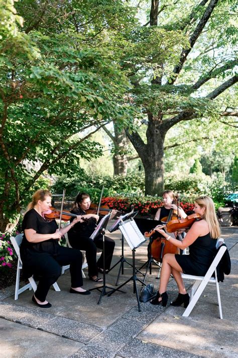 Image result for Classical String Quartet