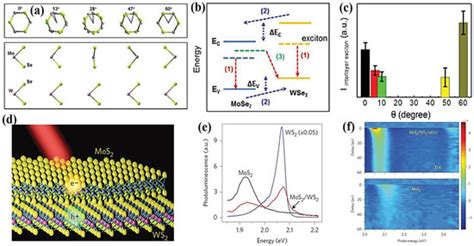 Advances on the Application of Nanomaterials and 2D Materials for ...