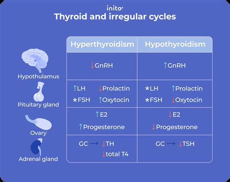 Why Is My Period Early: 7 Reasons You Should Know About