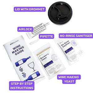 Buy GUTBasket Wine Making Kit - Makes 20L Wine, Fermentation Jar 4 L ...