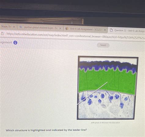 [Solved] Skype, Bir X Q purdue global student login - Se X Unit 6 Lab ...