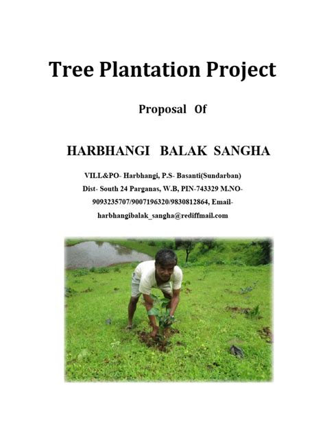Image result for Tree-Planting Project