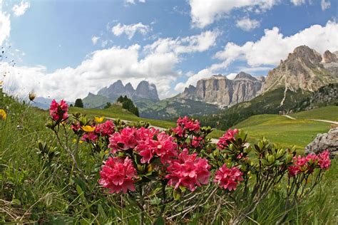 Punto panoramico Belvedere - Col dei Rossi