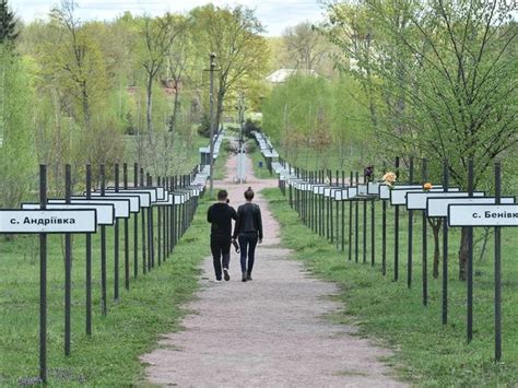 Chernobyl Disaster Aftermath 的图像结果