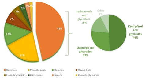 Isolation of Laurus nobilis Leaf Polyphenols: A Review on Current ...