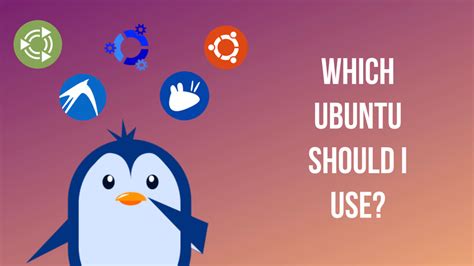 Ubuntu Program 的图像结果