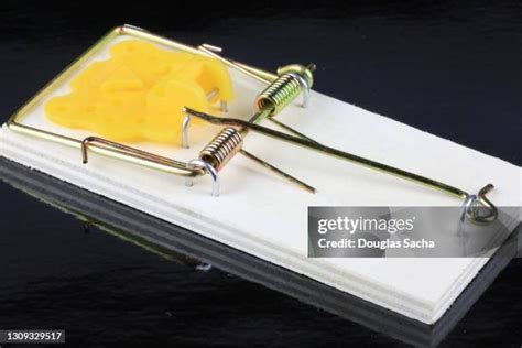 Primitive Spring Trap 的图像结果