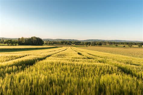 Landwirtschaft - DIEGOSat