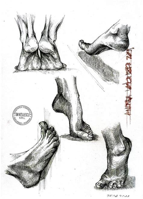 Foot Drawing 的图像结果